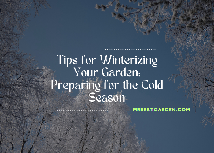 tips for winterizing your garden: preparing for the cold season